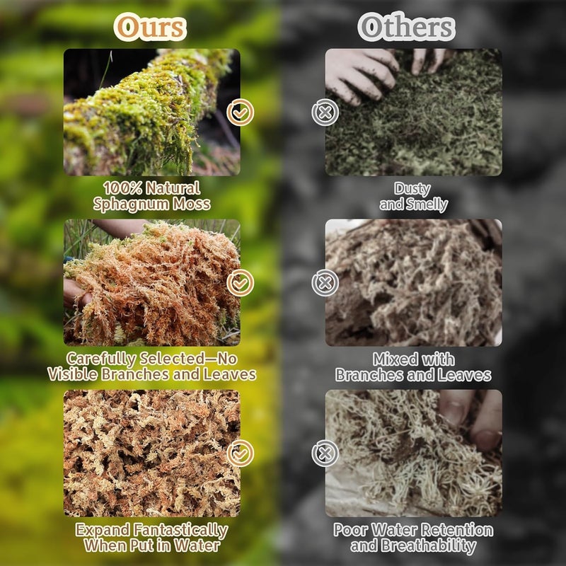 Riare 14OZ Premium Sphagnum Moss for Reptiles- 20QT Natural Reptile Moss Dried, Forest Live Moss for Terrarium, Frogs Snake Peat Moss Bedding for Leopard Gecko Turtle Anoles Salamanders Orchids - Image 5